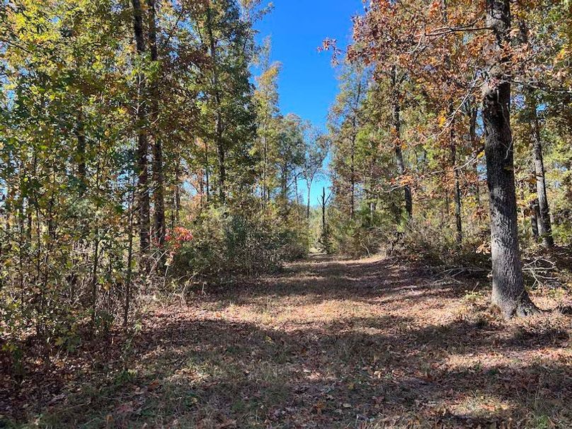 jeff 5020251111_0331