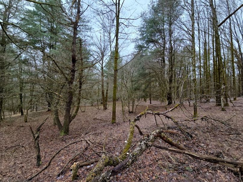 photo_df7ad0e8-3ad8-4701-b5e6-375a6025535e