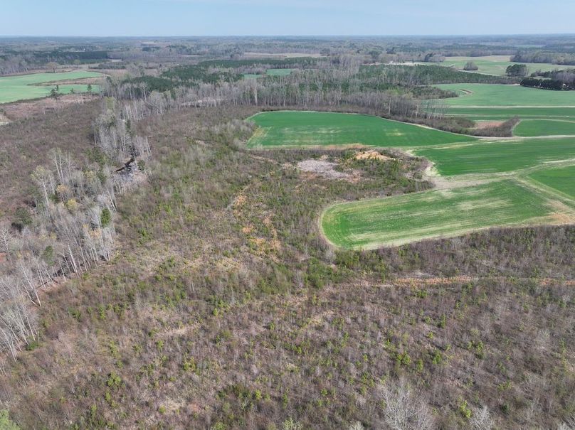 Copy of DJI_20260303062718_0517_D