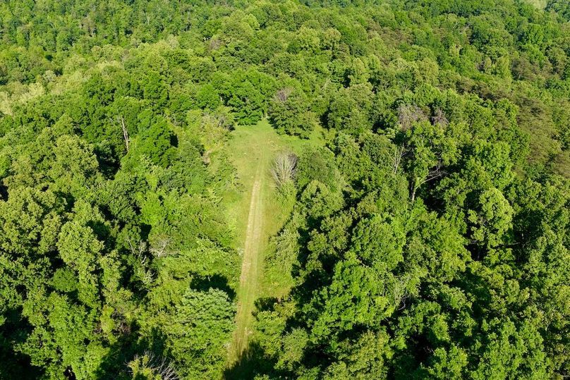 DJI_20260602175417_0227_D
