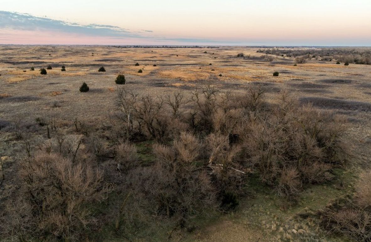 DJI_20260311080417_0498_D