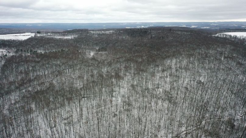 DJI_0340