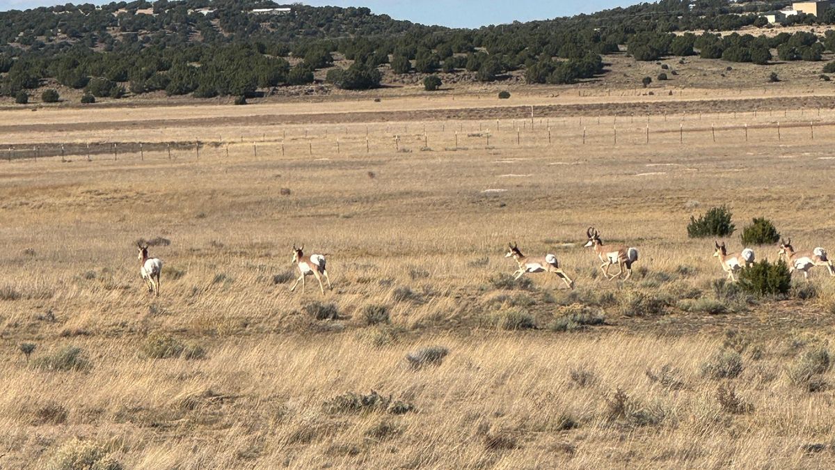 Windsor Valley Ranch Whitetail Properties