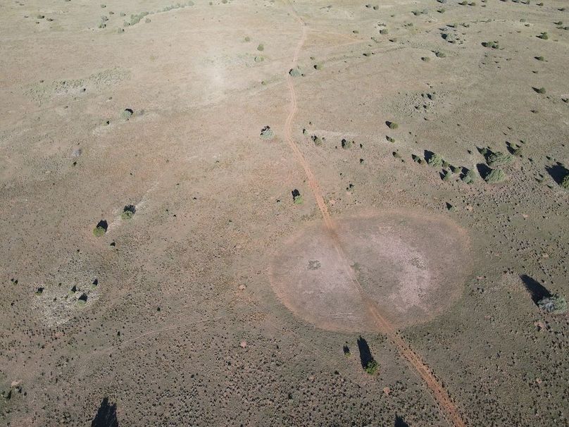 dji_fly_20240816_081734_542_1723818047993_photo