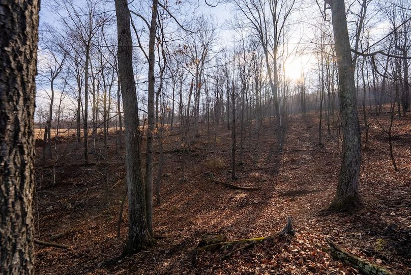 Copy of Hampshire WV 200 Featured_Pro Photo-45