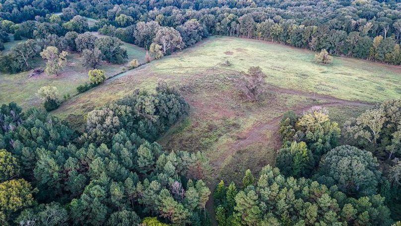 Hinds Co - 78 - Newman-25