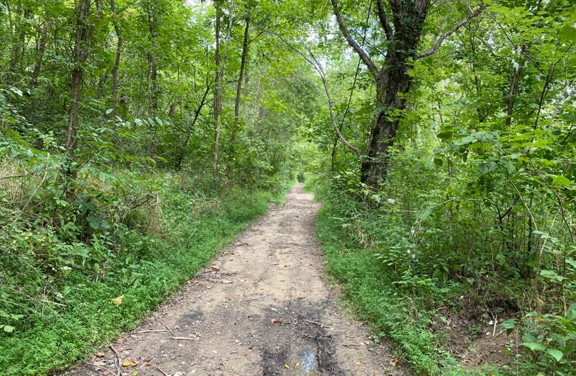 003 access road in along the river leading in