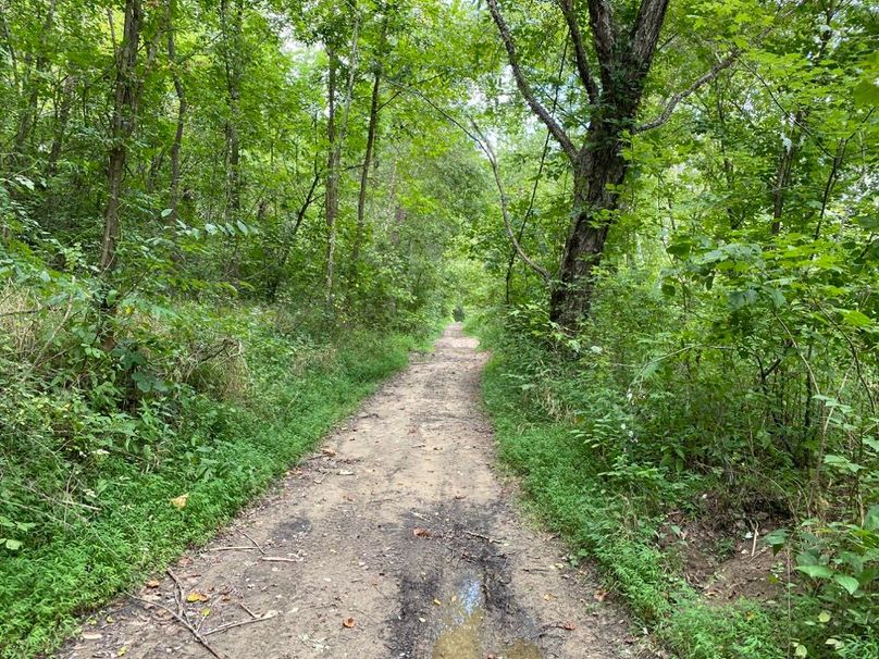 003 access road in along the river leading in