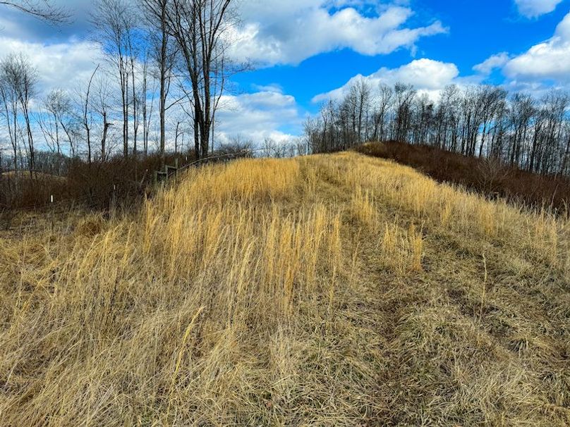 Doddridge, WV 79.08 AC Adams-45