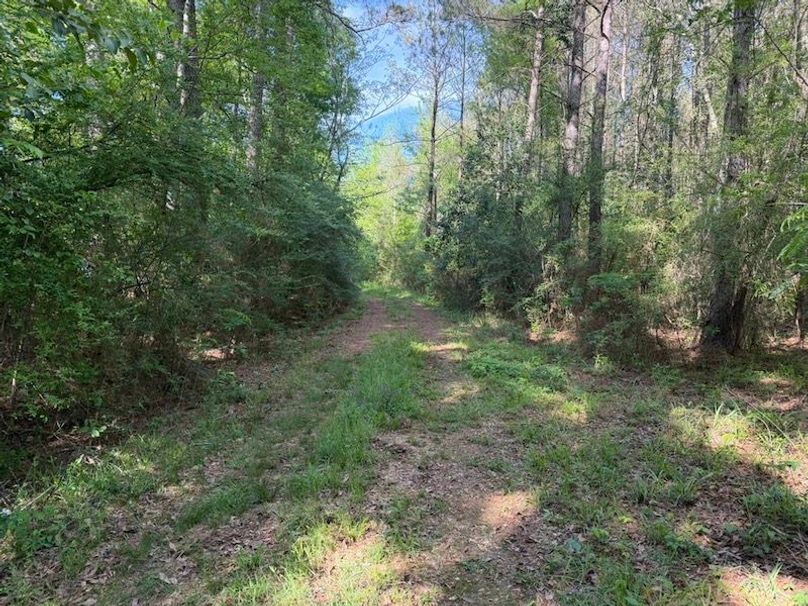 CA9956F6-711F-4051-823A-2FD2FDFA7FDF_1_105_c