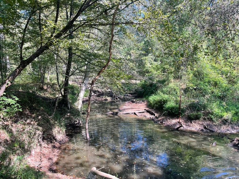 9F1F5192-4B1E-427C-826F-FF1A37D0B29B_1_105_c