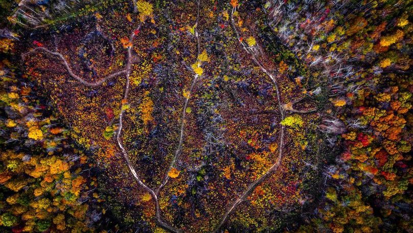 dji_fly_20251102_095600_0769_1762095970917_photo