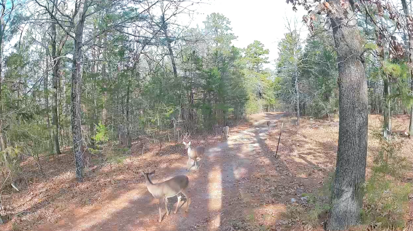 Screenshot 2026-02-19 at 3.35.20 PM