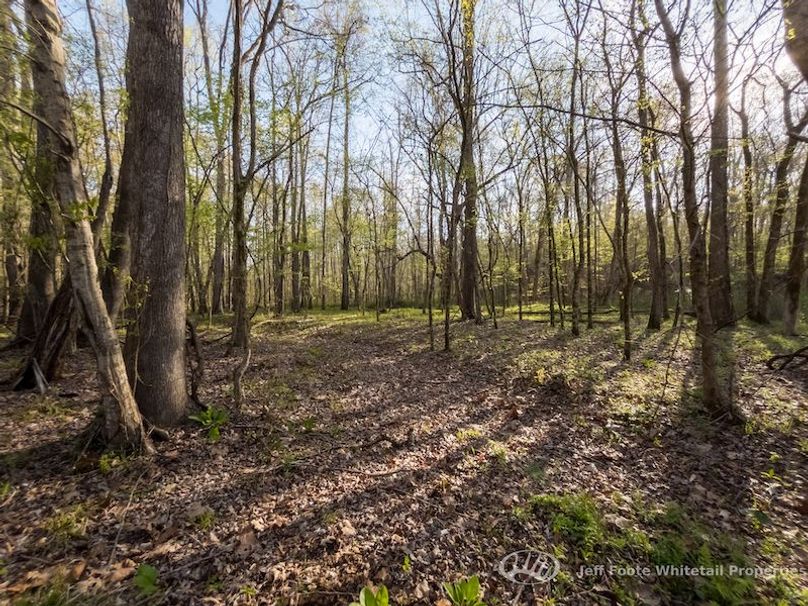 Warren Co - 45.5 - Bockman-78