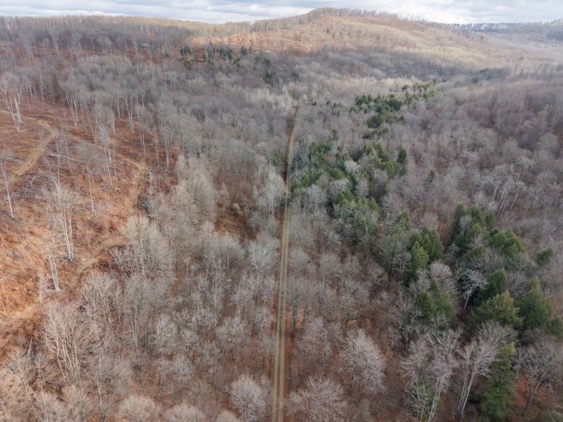 DJI_20251122114536_0040_D