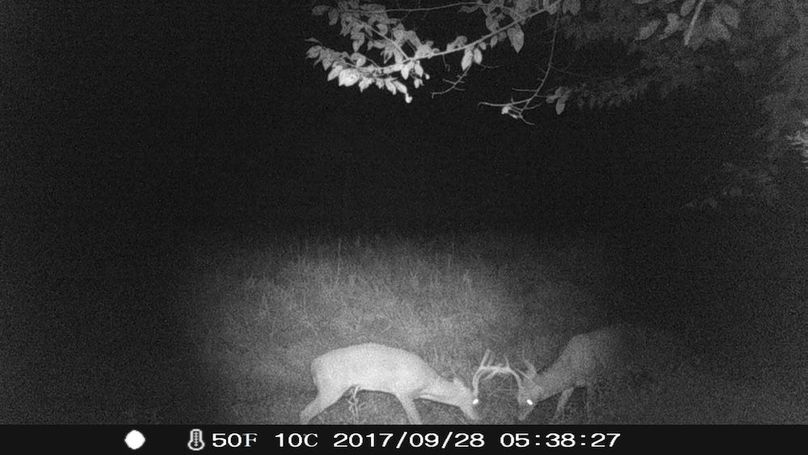 IMAG0347_1759365299632