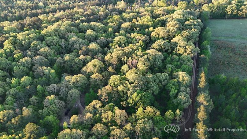 Hinds Co - 51 - Hughes-75