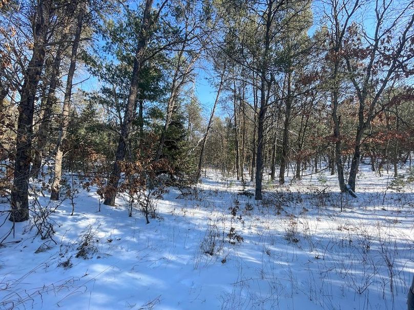 Adams 25, Nessler -31