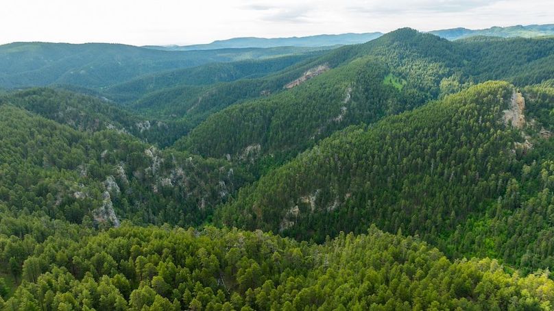 Lawrence SD 50 Featured_ProPhoto-35