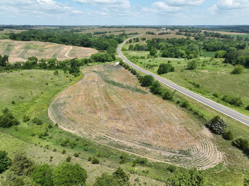 dji_fly_20230625_120302_470_1687717468810_photo