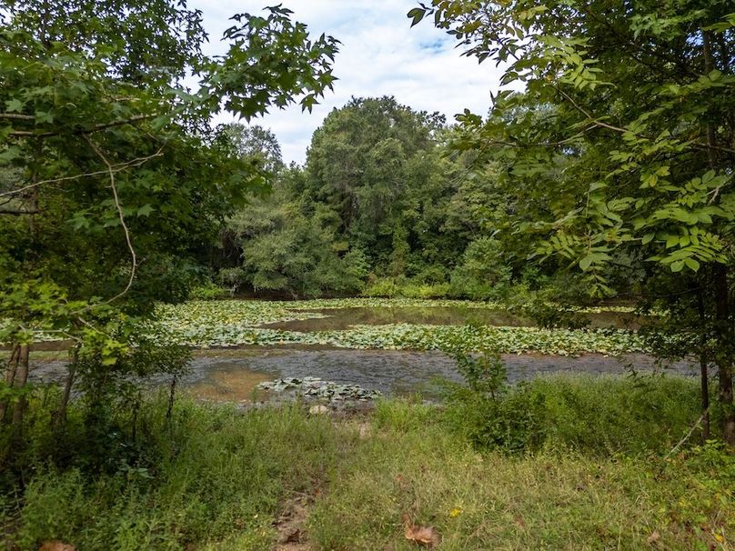 33 Jefferson 117ac - bethard-21