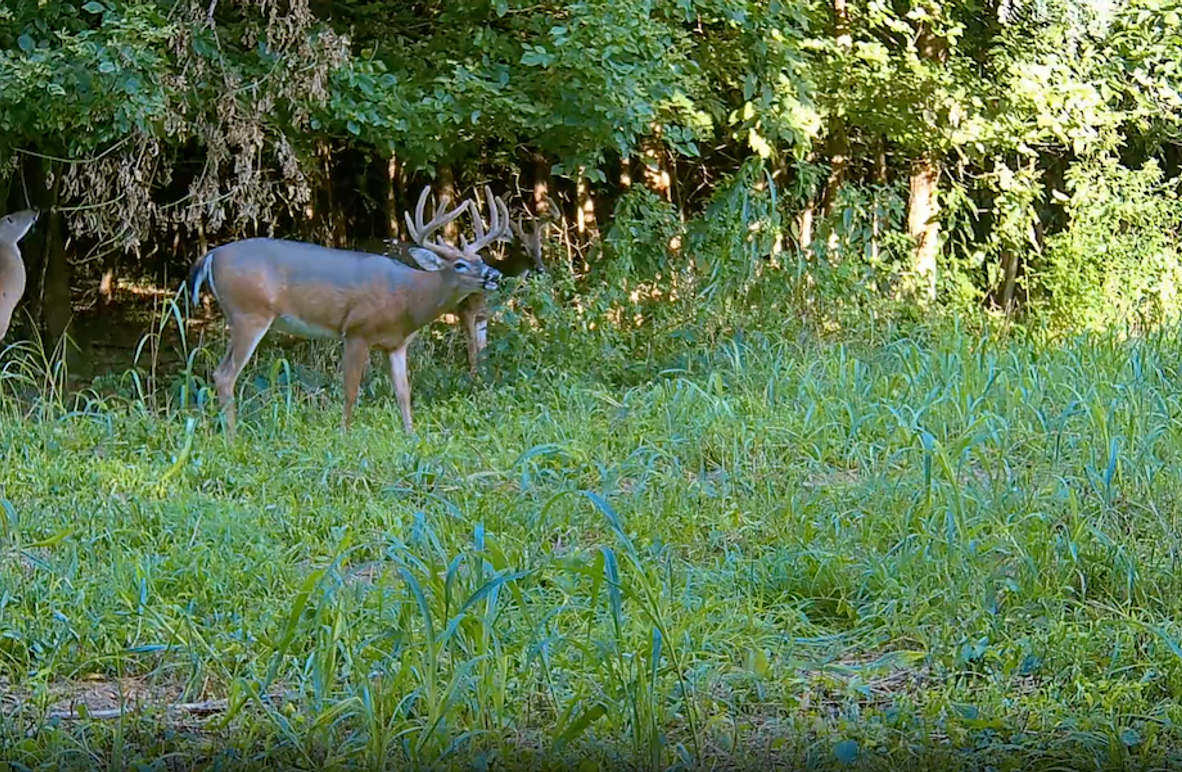 2.95 Copy of Screenshot 2025-09-24 at 3.11.37 PM