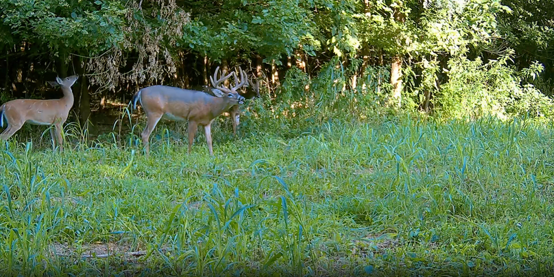 2.95 Copy of Screenshot 2025-09-24 at 3.11.37 PM