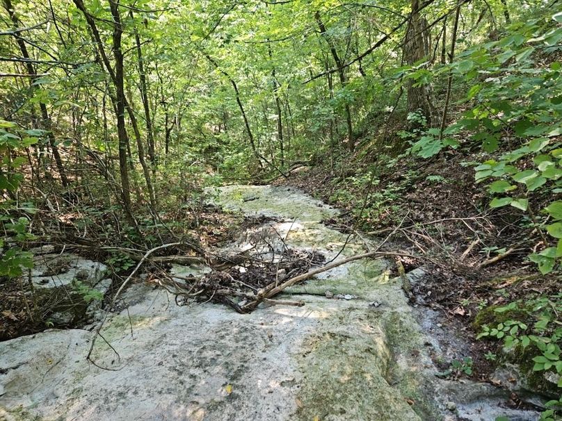 DJI_20240808_104428_148