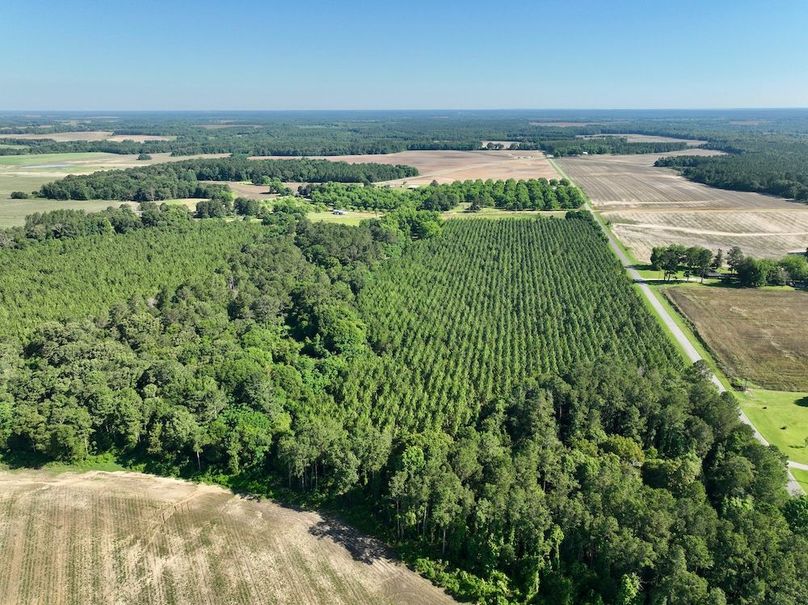 dji_fly_20240521_094630_375_1716299358105_photo