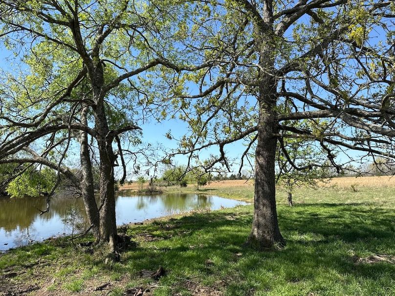 DJI_20260409_110438_079