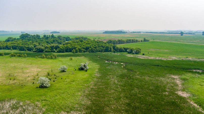 13. creek and tree grove