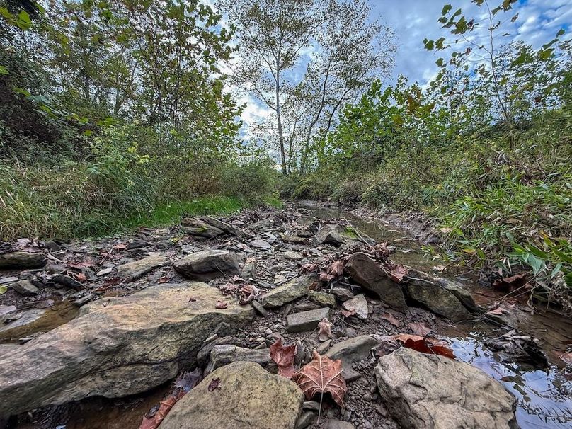 Greenup 77.28 Holsinger-44