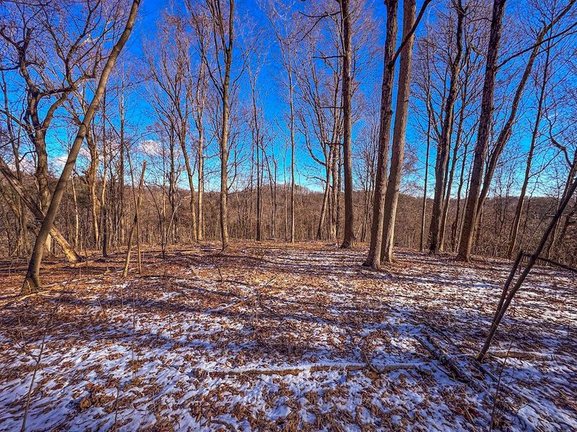 Pleasants, WV 81 AC Barron-30