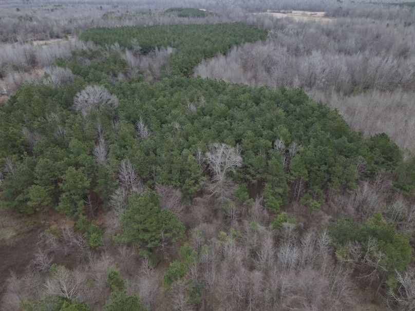 DJI_0033
