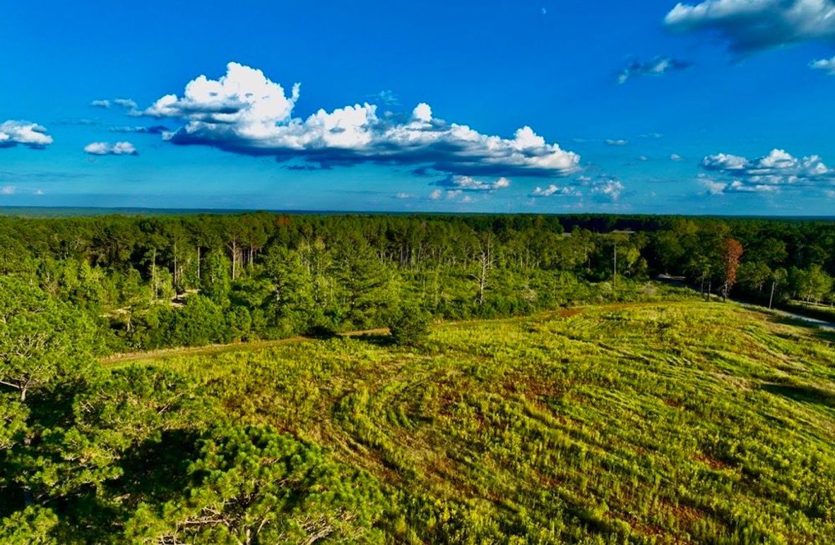 1A438D6B-56A3-4E2F-B31E-17A239990E31_1_105_c-2