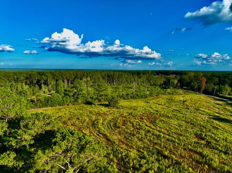 1A438D6B-56A3-4E2F-B31E-17A239990E31_1_105_c-2