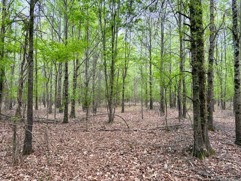 61DECE37-B187-4C6F-B046-6718CDC82EC2_1_105_c