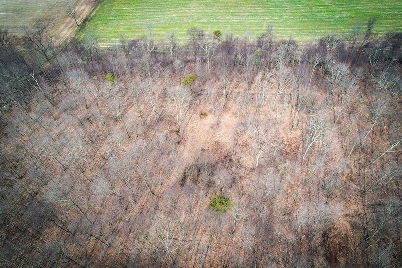 dji_fly_20260302_104542_546_1772466892527_photo