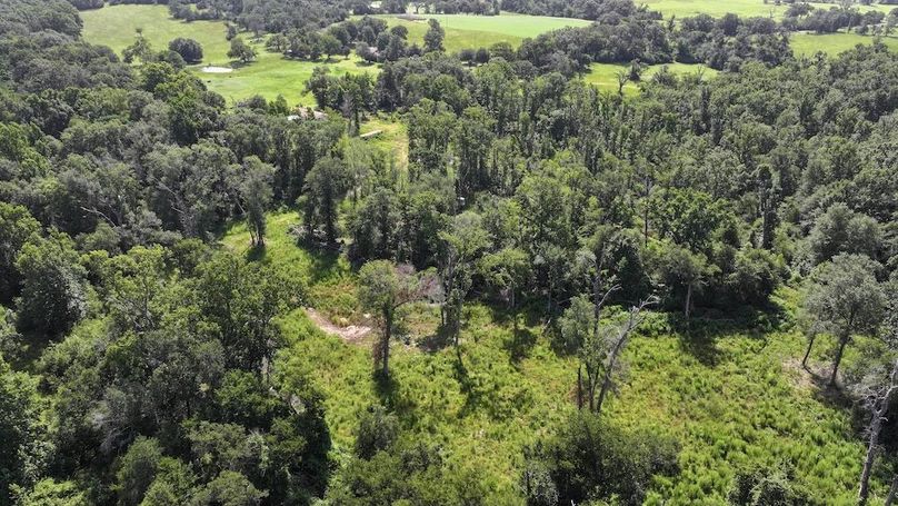 Copy of Copy of 55-DJI_20250710110242_0050_D