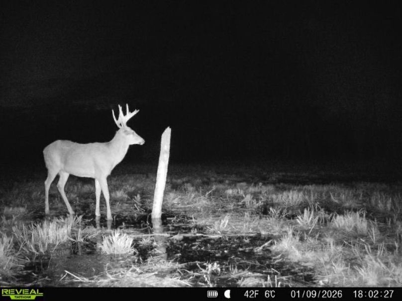 Copy of 860322062100349-100-4-01092026180226-V-W1006144