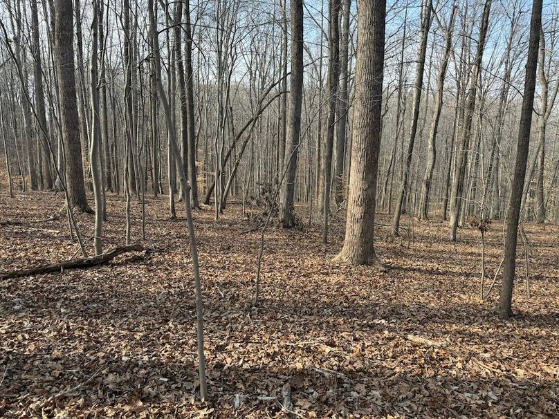 06987F9E-5EC2-4116-A298-26D959BCCEE1_1_102_o