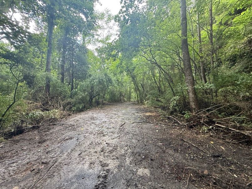 014 an internal road leading near the south boundary and the ridge