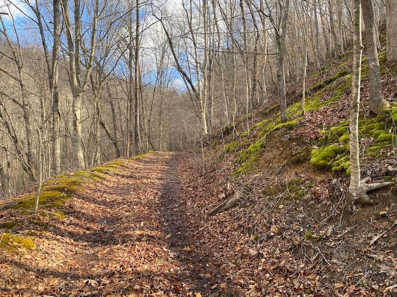 021 nice trail system leading to the ridge on the north portion of the property copy