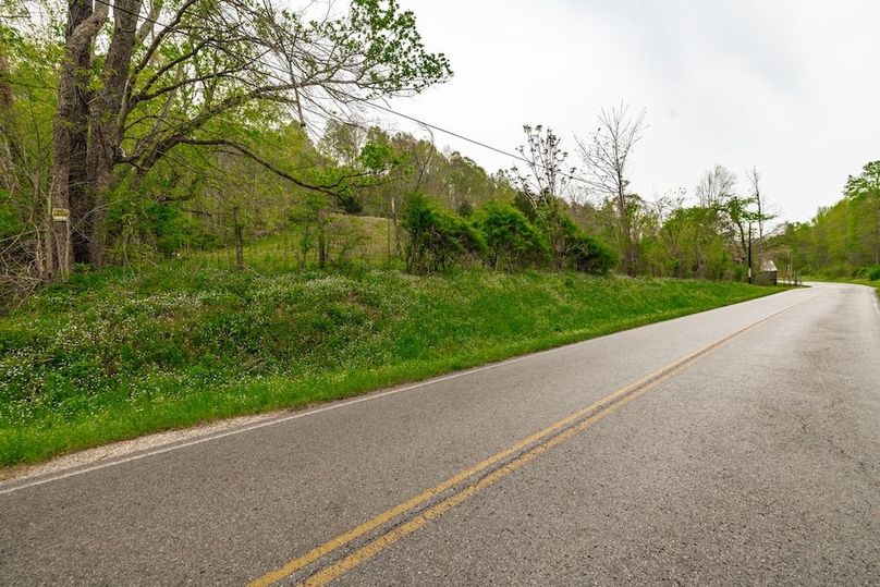 87-web-or-mls-1103 Johnny Spears Rd-100