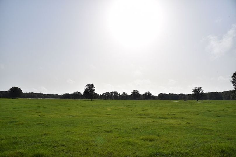 DSC_0694