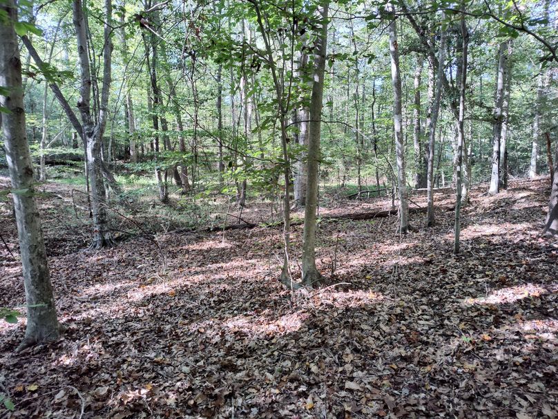 IMG_20231009_150530088_HDR