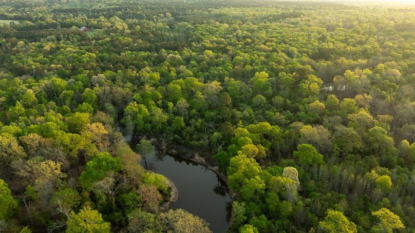 Copy of 84 Marion TX 143 and 117 Featured_ProPhoto-115