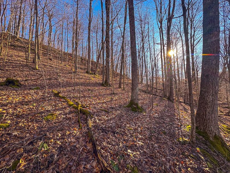 Lewis, WV 82.87 AC Barger-51