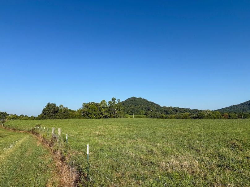 Fleming 32.98 new pic -01