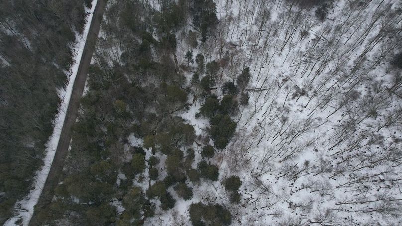 dji_fly_20260216_114510_132_1771260516721_photo